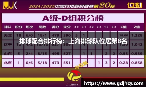 排球配合排行榜：上海排球队位居第8名