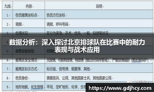 数据分析：深入探讨北京排球队在比赛中的耐力表现与战术应用
