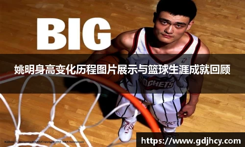 博鱼.boyu体育
