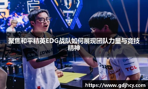 聚焦和平精英EDG战队如何展现团队力量与竞技精神