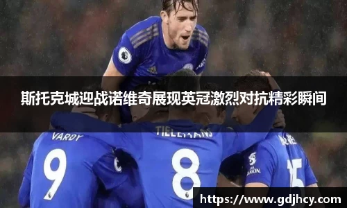 斯托克城迎战诺维奇展现英冠激烈对抗精彩瞬间